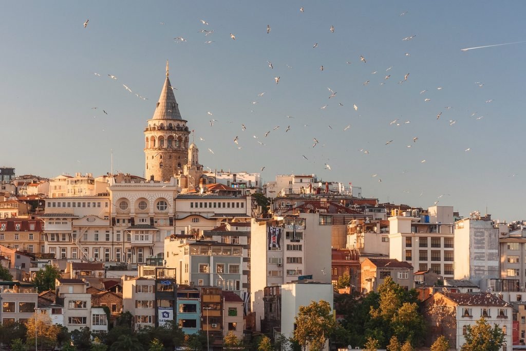 The Istanbul city, with lots of buildings and birds flying in the sky