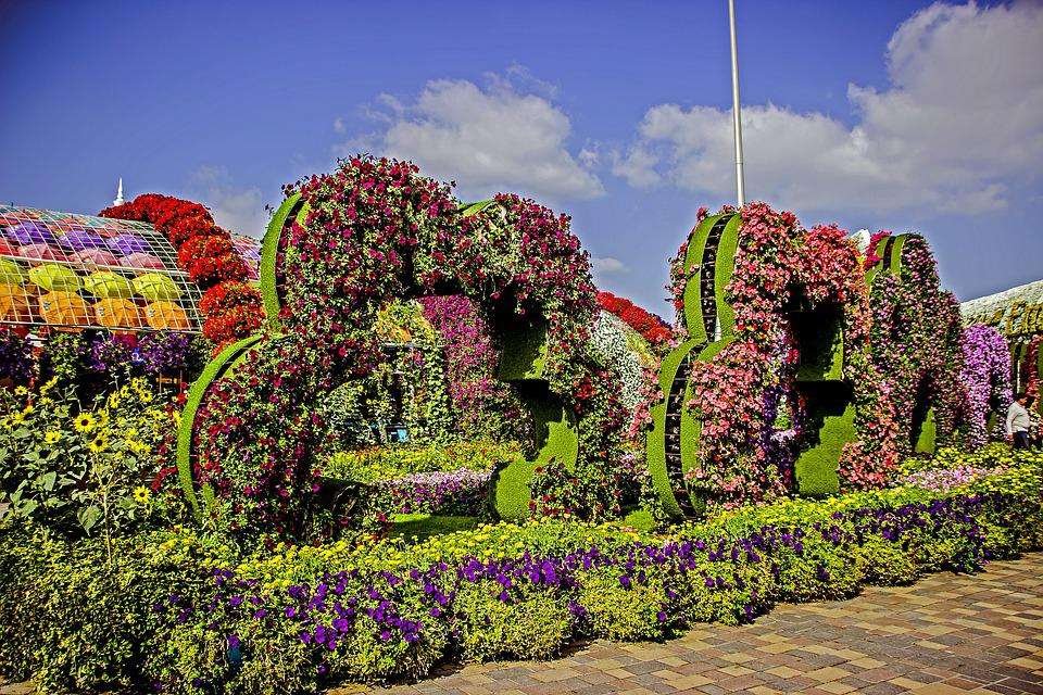 Dubai Miracle Garden, Dubai. Beautiful multi coloured trimmed flowers in different shapes