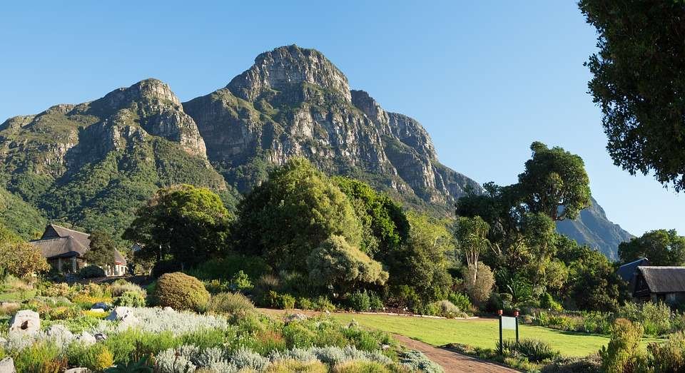 Kirstenbosch National Botanical Garden, South Africa. A large land area with multi coloured flowers surrounded by mountains and trees
