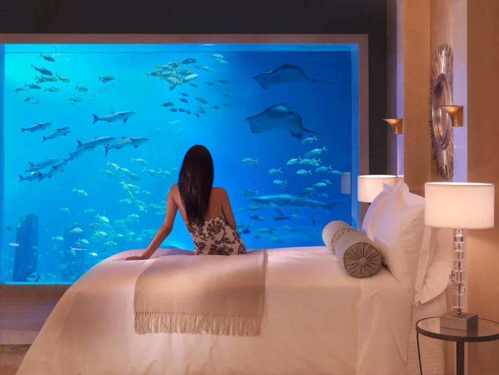 Most Expensive Hotels In The World 

A lady sitting in a luxury apartment while watching an aquarium in her room