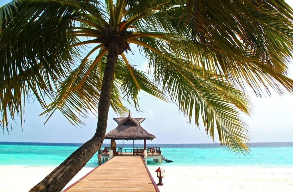 A less crowded beach with large clear blue waters, a hut and sit-outs, and a palm tree across the walk-way