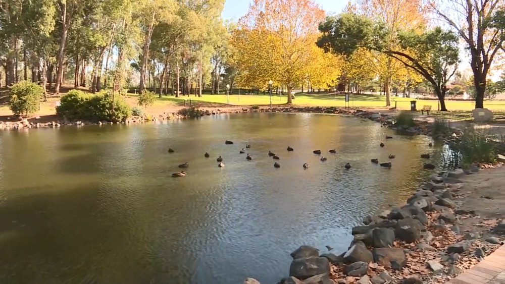 Check out Bicentennial Park in your list of fantastic things to do in Tamworth