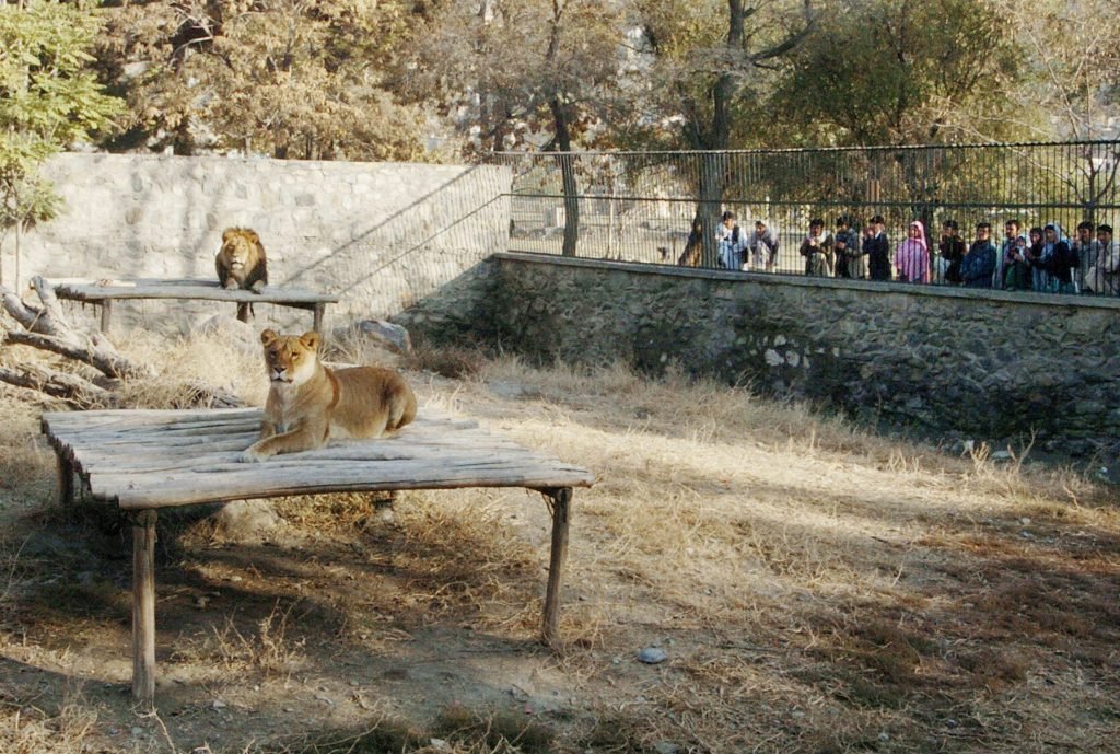 Kabul Zoo in tourist attractions in Kabul