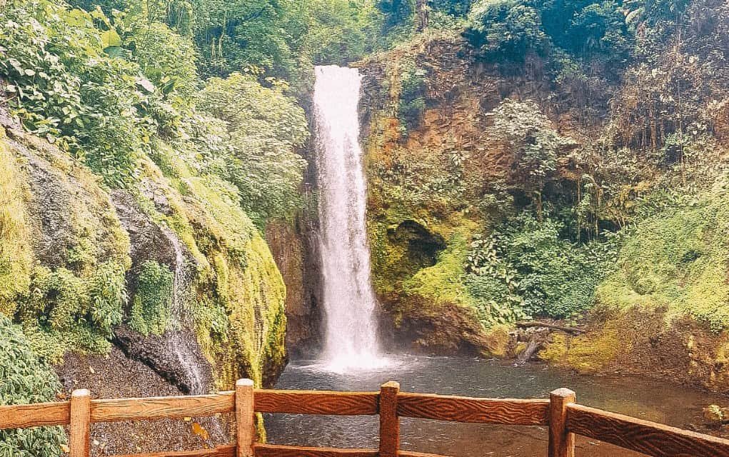 La Paz Waterfall Garden with a wooden bridge in front and plenty of green vegetations around it