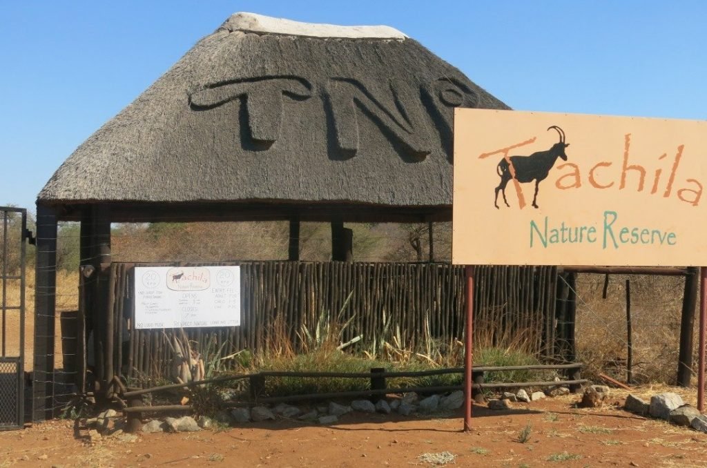 otswana-francistown tachila nature reserve