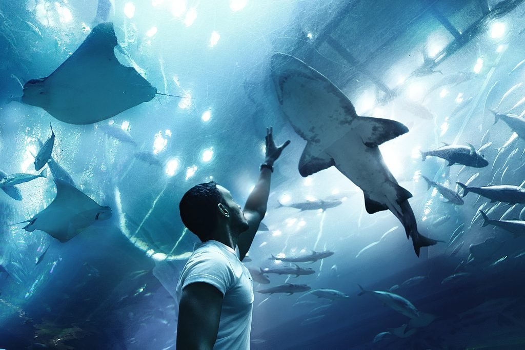 Man reaching for a fish in an aquarium