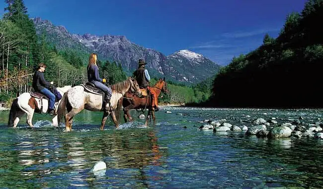 Things To Do In Conifer, Colorado: Best Activities: Go on Horse Riding