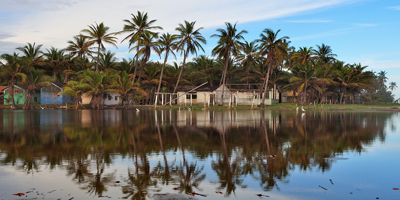 Barra De Pichi Beach showing tall palm trees and a slightly dark water due to the reflection of the tress and clear skies.