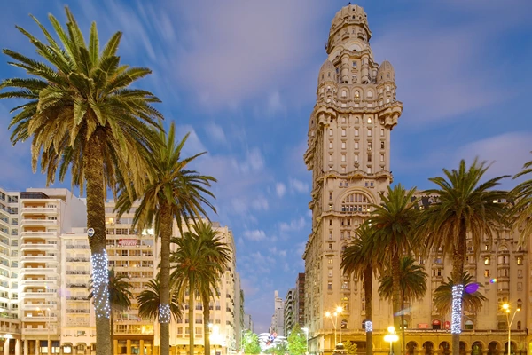 Top Safe Countries to Visit in South America
Tall buildings with bright yellow lights with tall trees with string lights wrapped around them, all under the evening blue sky. 