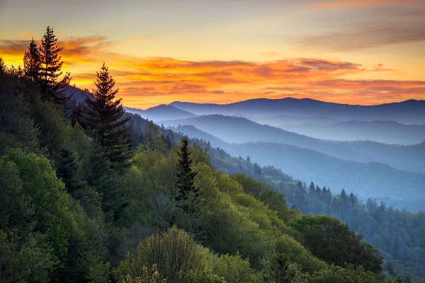 Places To Go in Gatlinburg, Tennessee

A sunset over the mountains with tall trees and leaves.