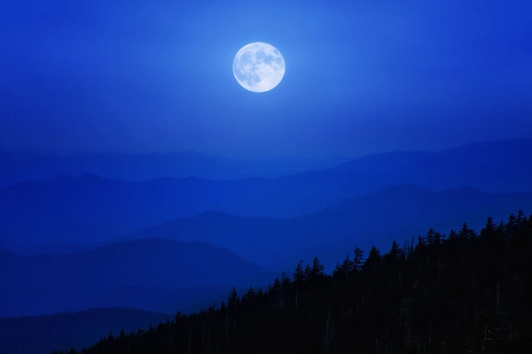 A moonlit sky over mountains and trees
