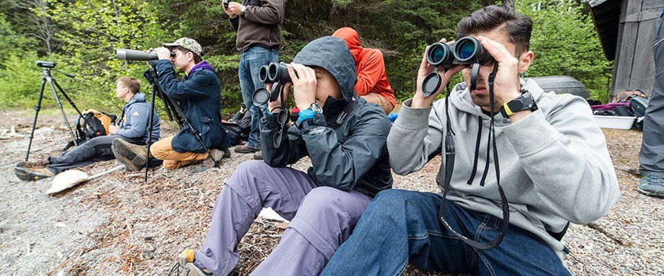 Ecotourism wildlife watching