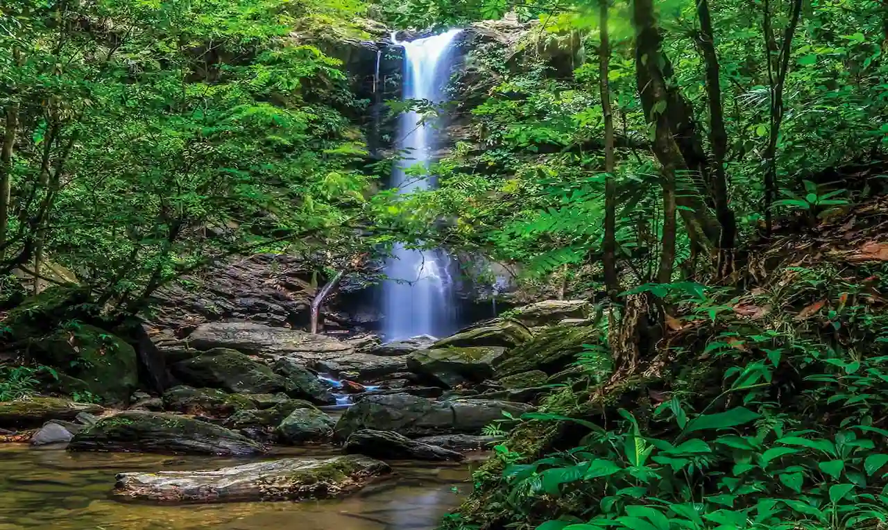 Waterfalls in Trinidad