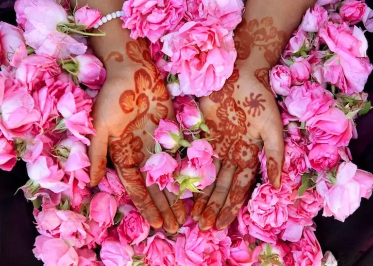 Valley of the roses, Morocco