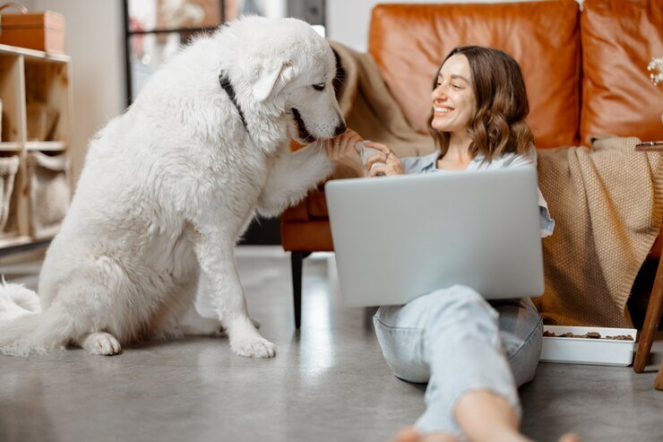 woman working home sitting with dog 506452 199